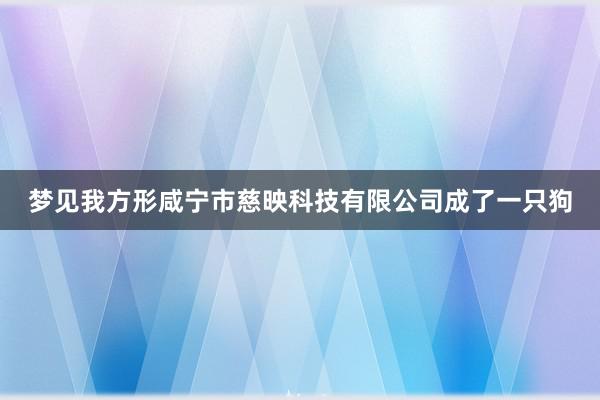 梦见我方形咸宁市慈映科技有限公司成了一只狗